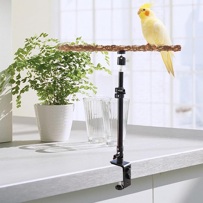 16-24 Inch Height Adjustable Bird Perch Stand, Natural Pepper Wood, Black, Bird Training Perch Stand, Indoor and Outdoor, for Small to Medium Birds