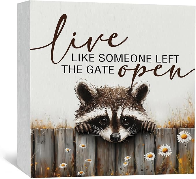 Raccoon Sign - Live Like Someone Left The Gate Open Wooden Box Signs, Raccoon Decor, Farmhouse Trash Panda Wood Decoration Home Decor For Desk Table Shelf 6x6 Inch Decorative Signs & Plaques