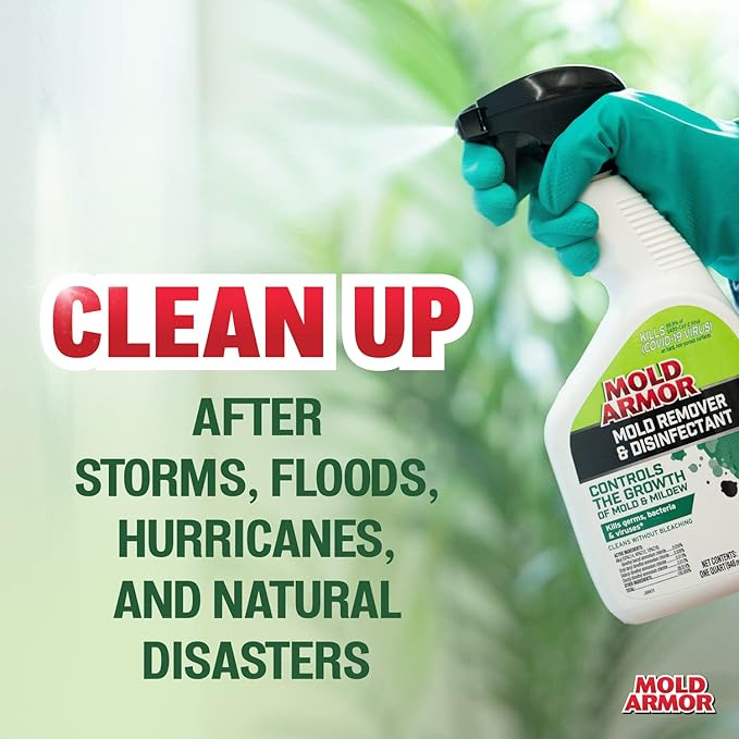 MOLD ARMOR FG550 Mold Remover/Disinfectant, 1 Gallon