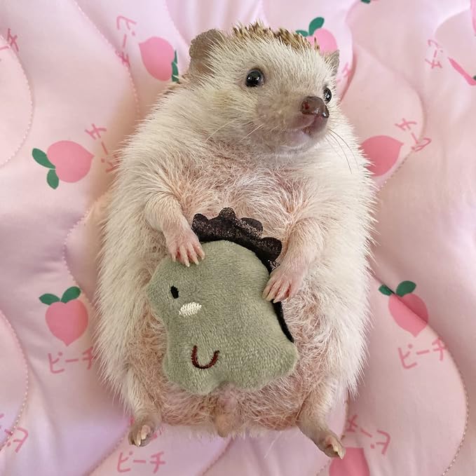 3 Pcs Cute Small Animal Accessories Toys Dinosaur for Hedgehog Supplies Guinea Pig Hamsters Small Pet Toy Gift Photo Shoot Cage Accessory
