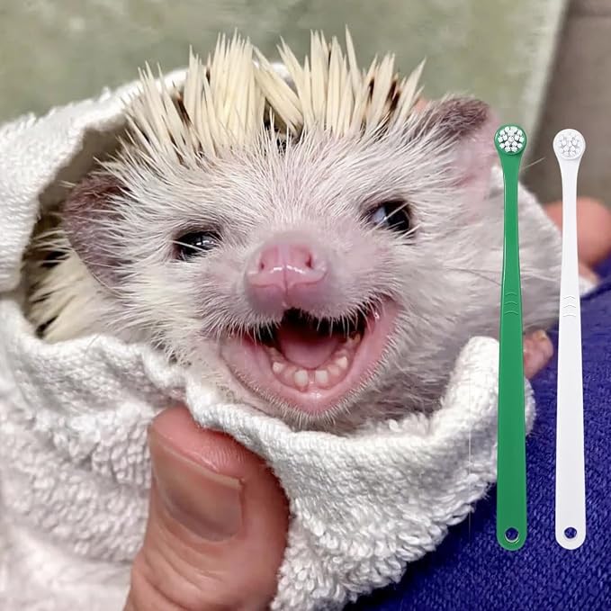 Mini Pet Toothbrush Mini Head Soft Bristles Gentle Pet Toothbrush for Small Pets Dental Care Hedgehog Rat Ferret Grooming Accessories (6PC)