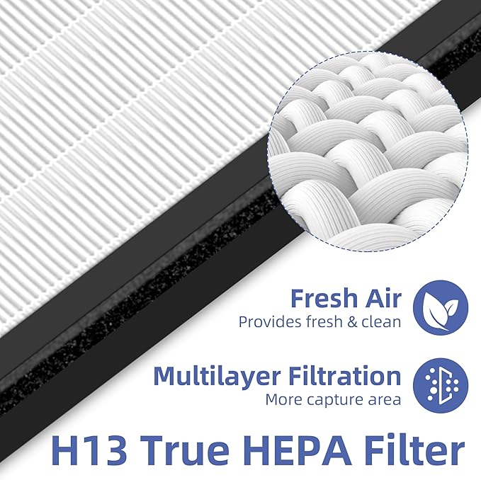 HAP603 Replacement Filter for ECOSELF HAP603 Air Purifier,3-in-1 H13 True HEPA High-Efficiency Activated Carbon Filter,3 Pack