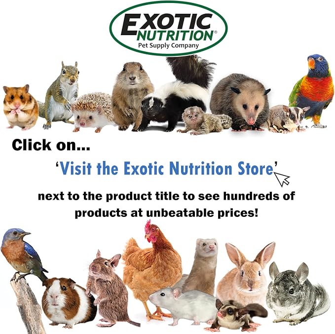 Water Silo - Water Cage Accessory - Sugar Gliders, Hedgehogs, Squirrels, Prairie Dogs, Degus, Opossums, Marmosets, Monkeys, Parrots, Birds, Rats & Other Small Pets