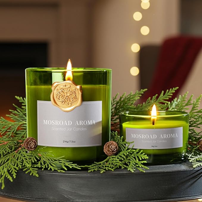 2 Pack Balsam & Cedar Scented Candles, Christmas Pine Scented Jar Candle Gift Set, Natural Soy Fir Cedar Candle for Home Scented, Winter Holiday Fragrance Candles Gift for Women,Men