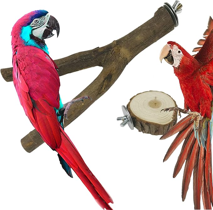 10 PCS Natural Wood Bird Perch Stand, Bird Parrot Perch Stand Set, Wooden Parrot Perch Stand Perch Platform Cage Accessories for Parrotlets Cockatiels Budgies Parakeets