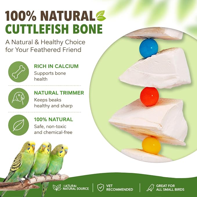 2 Pack Bird Toys with Cuttlebone & Beak Grinding Stone–Cage Accessories for Parakeets, Budgies, Cockatiels, Lovebirds, Green Cheeks & Small to Medium Birds