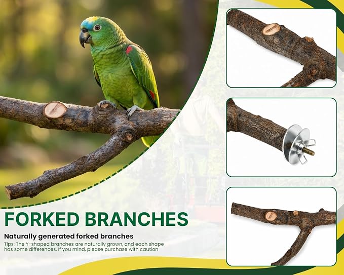 DS. DISTINCTIVE STYLE 6 PCS Bird Perches for Cage | Natural Apple Wood Perch Set with Platforms for Small Birds, Parakeets, Budgies, Cockatiels Climbing, Resting & Foot Exercise