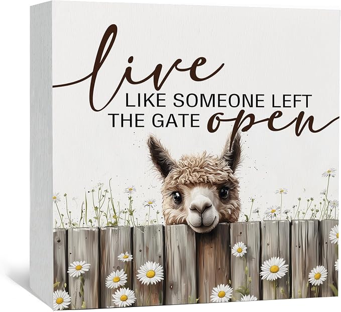 Live like Someone Left the Gate Open Alpaca Wooden Signs,Farm Cottagecore Animal Office Kitchen Bedroom Decor,Rustic Farmhouse Home Decor Signs,Alpaca Gifts for Women
