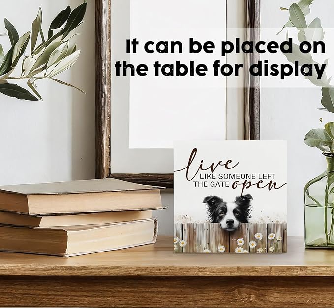 Live like Someone Left the Gate Open Border Collie Wooden Signs,Farm Cottagecore Animal Office Kitchen Bedroom Decor,Rustic Farmhouse Home Decor Signs,Border Collie Gifts for Women
