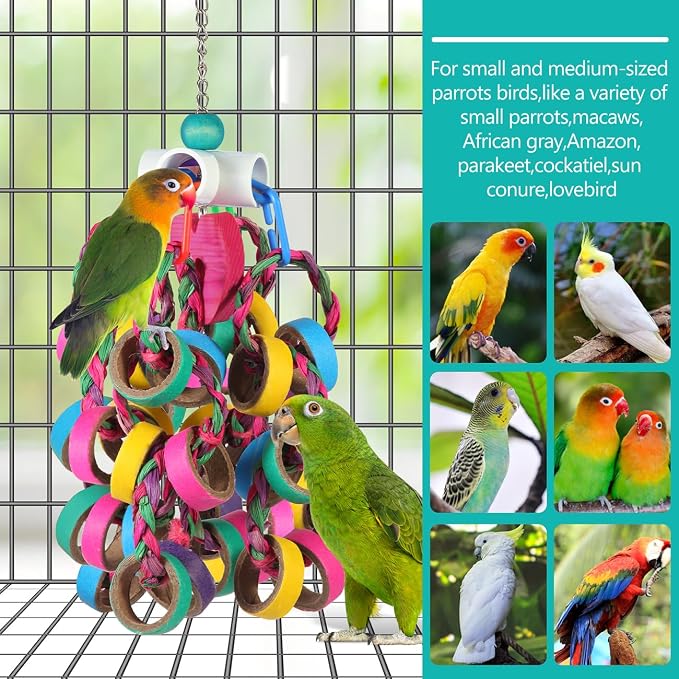 lovyoCoCo Bird Toys Conure Toys,Bird Parrot Foraging Shredder 24 Pcs Colorful Bagel Chewy Rings for Small Parrots Parakeets Conures Cockatiels Love Bird Cage Accessies (W)