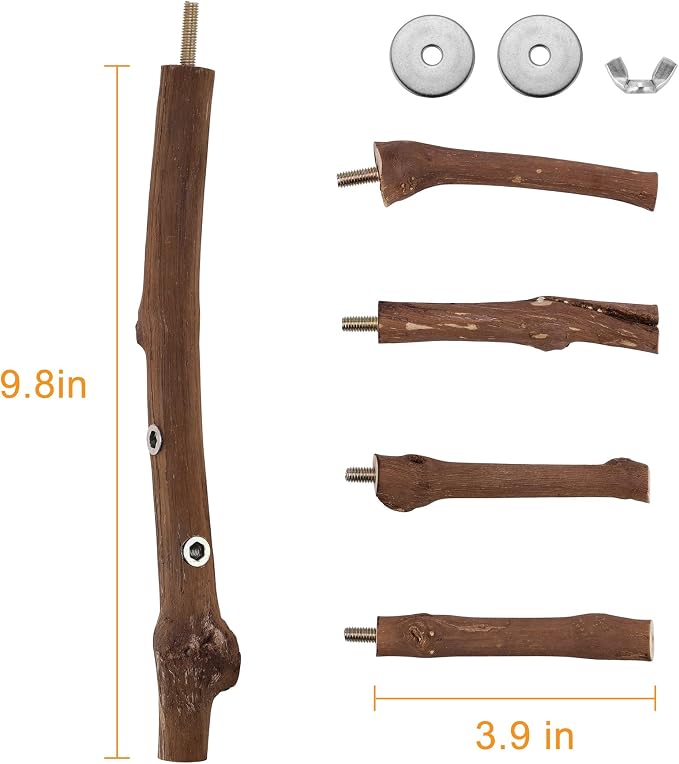 Bird Perch Stand Toy Grapevine Wood Bird Cage Branch Perch 10 Inch | Natural Grapevine Wood Perch Stand 4 Branches Bird Cage Inside Accessories Bird Toy for Parakeet Cockatiel Conure Finches