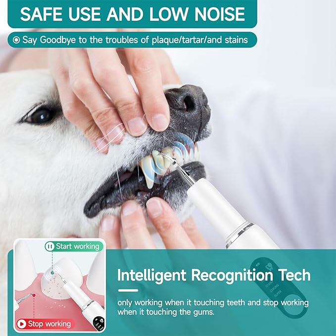 Dog Teeth Cleaning Kit Dog Plaque and Tartar Remover with LED Light 5 Adjustable Modes Electric Toothbrush Pet Teeth Cleaner for Dogs and Cats (White and Blue Finger Cots)