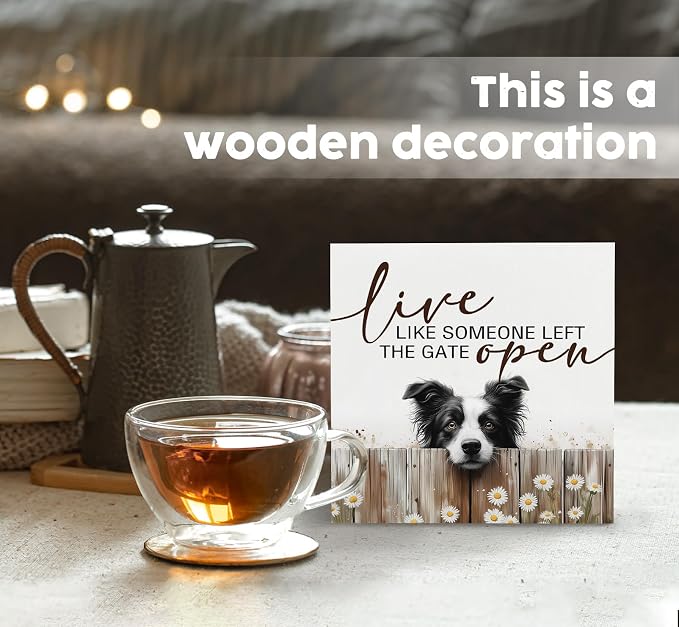 Border Collie Signs - Farm Cottagecore Animal Office Kitchen Bedroom Decor,Rustic Farmhouse Live like Someone Left the Gate Open Home Decor Wooden Signs,Border Collie Gifts for Women,6x6