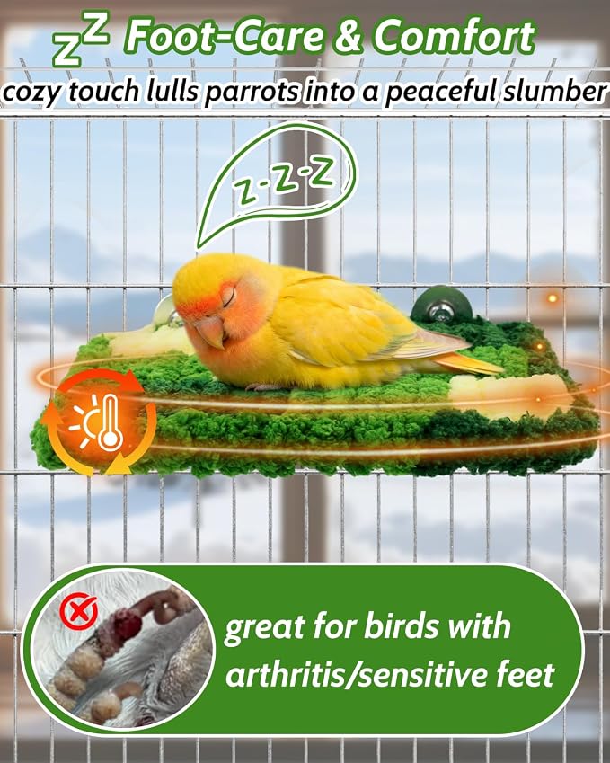 Warm Coral Fleece Bird Perch, Soft & Gentle for Sensitive Feet | Hanging Flat Resting Platform with Sturdy Frame, Secure Foot Grip, Spacious Perch for 1-2 Birds, Budgies & Cockatiels