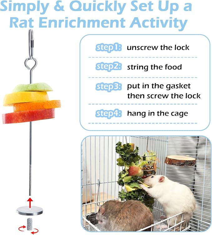 2Pcs Rat Enrichment Toys, 304 Stainless Steel Holder for Fruit Veggie | Fancy Mice Cage Puzzle Toy, Hanging Rodent Slow Feeder to Keep Pets Healthy, Bird Foraging Toy for Parakeet, Dishwasher Safe