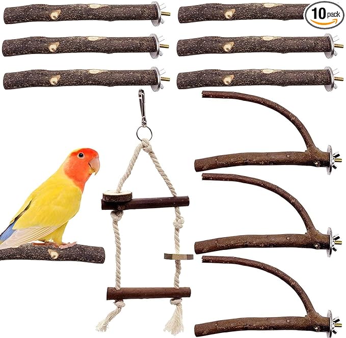 EBaokuup Bird Parrot Perch Set - 10PCS Natural Wood Parakeet Stand, Fork, Rod, Paw Grinding Stick for Budgies, Cockatiels, Conure, Lovebirds