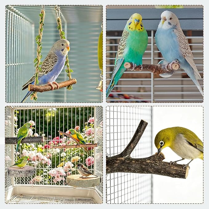 Bird Perch Swing for Cage Accessories - Natural Wood Parrot Perch for Parakeet Budgie Cockatiel Toys