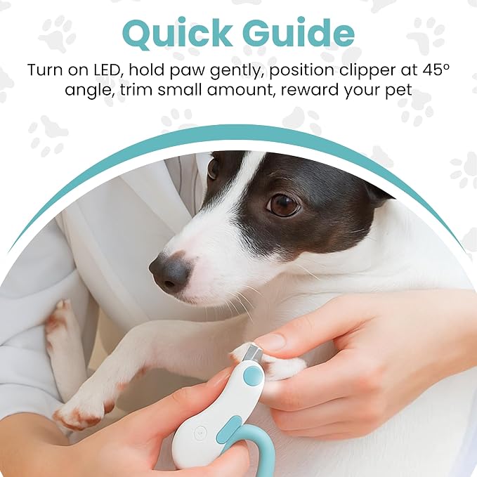 LED Pet Nail Clipper with Safety Guard for Cats & Small Dogs - Claw Trimmer with Light for Nail Bloodline - Razor Sharp Blades for Kitten Bunny Rabbit Bird Ferret Guinea Pig Hamster