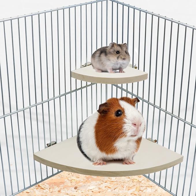 Litewoo Bird Parrot Corner Perch Flat Platform Stand for Cage,XL | 7.87x7.87 in, easy to Install, stable & smooth, solid wood perch for small-medium birds/parakeet/cockatiel/budgie/conure/cage