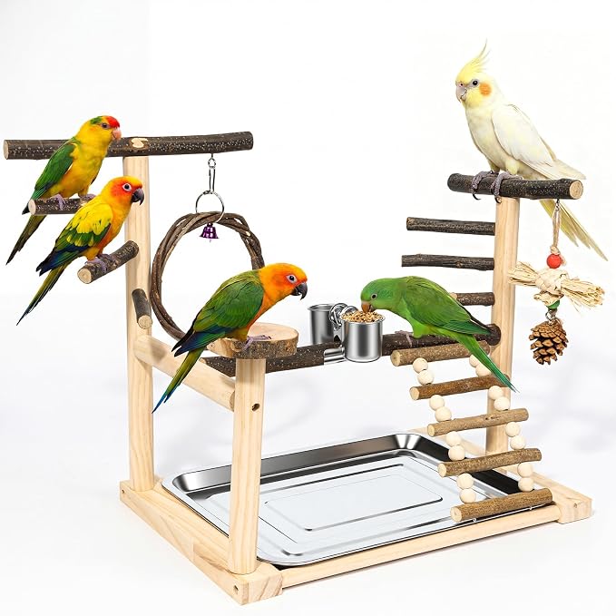 Bird Playground Wooden Parrot Stand for Small to Medium Birds | Feeding Cup, Apple Branch Swing, Chew Toys, Removable Tray, Ideal for Budgerigars, Parakeets, Cockatiels