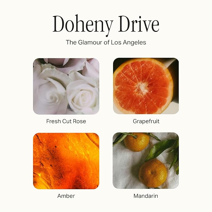 Preston Lane Luxury Hand Wash, Doheny Drive Scent | Hydrating and Nourishing Formula with Organic Oils, Active Kiwi and Apple Water, and Vegetable Glycerin | Gentle Cleansing, Vegan and Cruelty Free