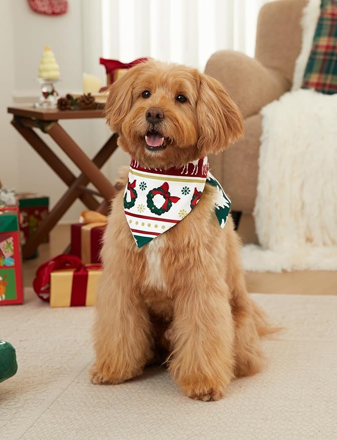 PATPAT Christmas Family Matching Pajama Sets Includes Christmas Socks - Perfect for Family Photos & Holiday Celebrations
