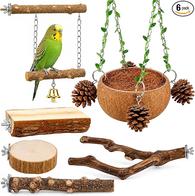 Bird Perch Bird Cage Accessories Parrot Toys Natural Wood 6Pcs Set for Parakeet Cockatiel Conure Lovebird Small Medium Birds
