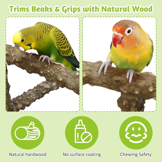 BNOSDM Natural Wood Bird Playground for Training & Playing, Parrot Perch Stand Jungle Gym with Hanging Bridge & Detachable Tray Parakeet Cage Playstand for Budgie, Cockatiel, African Grey