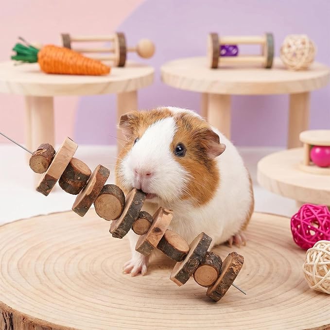 26 Pcs Hamster Cage Accessories, Silent Wheel & Wood House Set | Includes Maze House, Water Bottle, 13 Chew Toys, Seesaw Bridge; Natural Wood, for Guinea Pigs Chinchillas Gerbils Mice Rats