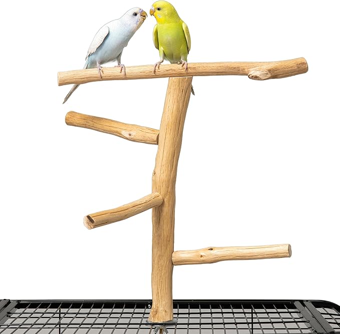 Bird Perch for Top of Cage, Natural Wood Play Stand