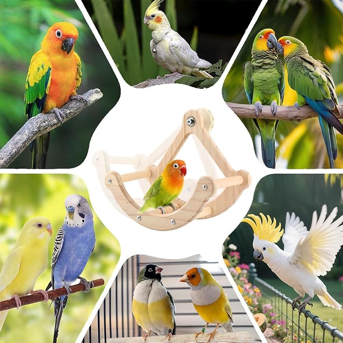 Bird Perch Toy, Interactive Rocking Parakeet Toys and Perches, Wooden Exercise Cockatiel Toys, Intelligence Birds Enrichment Toy for Parrot, Bird Cage Perch for Budgies Conure