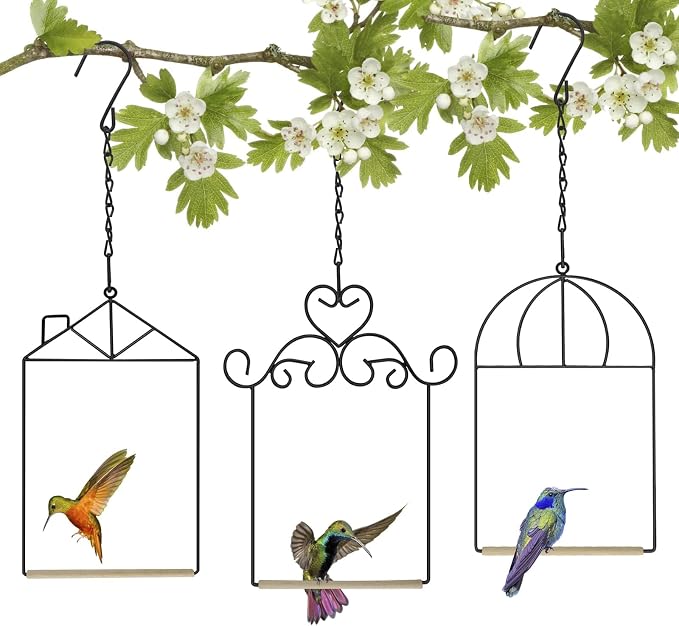 Metal Frame Hummingbird Swings and Perches with Wooden Dowel Black Bird Swing Outdoor Bird Perch Humming Bird Swing (3PK Different)