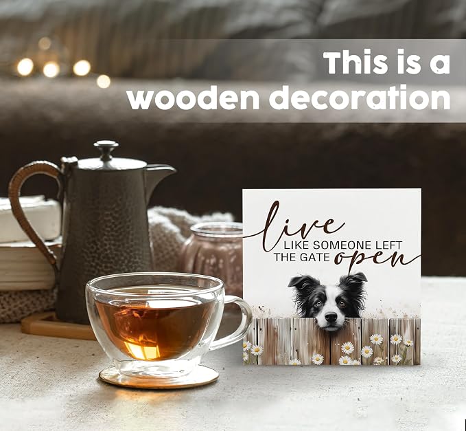 Live like Someone Left the Gate Open Border Collie Wooden Signs,Farm Cottagecore Animal Office Kitchen Bedroom Decor,Rustic Farmhouse Home Decor Signs,Border Collie Gifts for Women