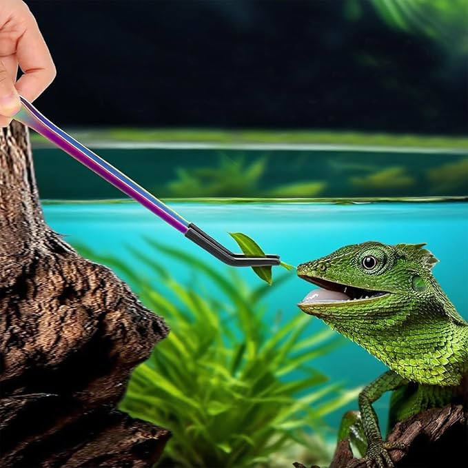2-Pack Professional Reptile Nail Clippers&Stainless Steel Reptile Feeding Tongs Suitable for Small Animals Such as Cats, Birds, Hamsters, Rabbits, Hedgehogs, Ferrets, Chinchillas, Guinea Pigs，Etc
