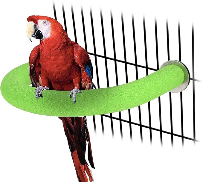 Rypet U-Shaped Large Parrot Perch, Quartz Bird Perch for Cage(Green XL) | Safe Chew & Rest Perch for Large Birds, Durable Non-Toxic Cage Accessory, for Parakeets Cockatiels Conures Macaws