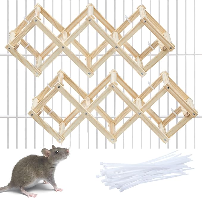 Kiln-Dried Wood Rat Climb Toy, Hanging Cage Ladder Activity (S, 2pcs) | Natural Rat Cage Bridge, Multiple Openings & Directional Ramps Offer Challenges to Satisfy Rats' Instincts for Explore & Play