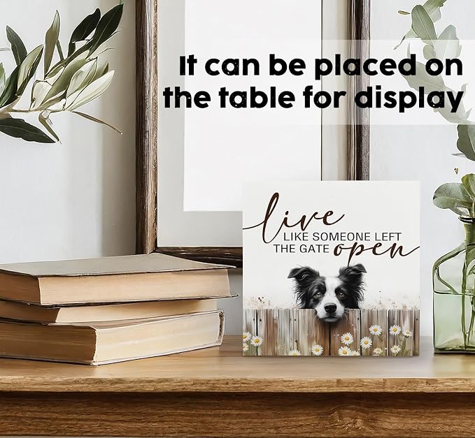 Border Collie Signs - Farm Cottagecore Animal Office Kitchen Bedroom Decor,Rustic Farmhouse Live like Someone Left the Gate Open Home Decor Wooden Signs,Border Collie Gifts for Women,6x6