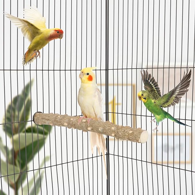 Hypeety Natural Prickly Ash Wood Perch Bird Paw Grinding Stand, 11.7''/30cm | Paw and beak grinding perch, bark texture for grip, chew-proof and durable, beak for budgie/parakeet/cockatiel/lovebird