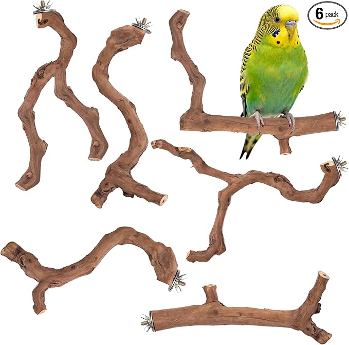 6-Piece Premium Bird Perch Stand with Natural Grape Wood Branch, Paw Grinding Fork, Chewing Stick, Cage Accessories for Parakeets, Budgies, Cockatiels, Finches, Lovebirds