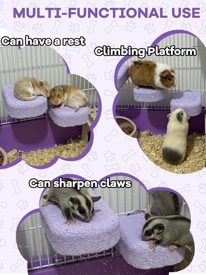 Lava Ledges for Rats 6 Pack Hamster Climbing Ledge Platform Pumice Ledge Shelf Pet Chewing Grinding Toys Small Animals Cage Accessories for Mouse Guinea Pig Gerbil Purple