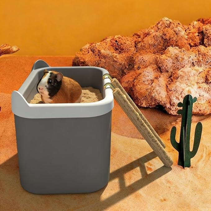 Hamster Sand Box Large Removable Enrichment | Dwarf Hamster Dig Box Bathing Bowl for Mouse Gerbil Chinchilla Home Travel Enrichment Bathing Play