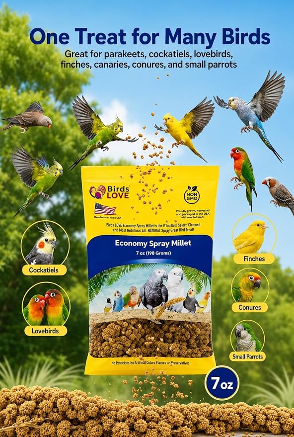 Birds LOVE® Economy Spray Millet for Birds, 7 oz, GMO-Free Natural Bird Treat, Stem-Reduced Millet Tops, USA Grown Spray Millet for Parakeets, Cockatiels, Lovebirds, Finches, Canaries -Pack of 4