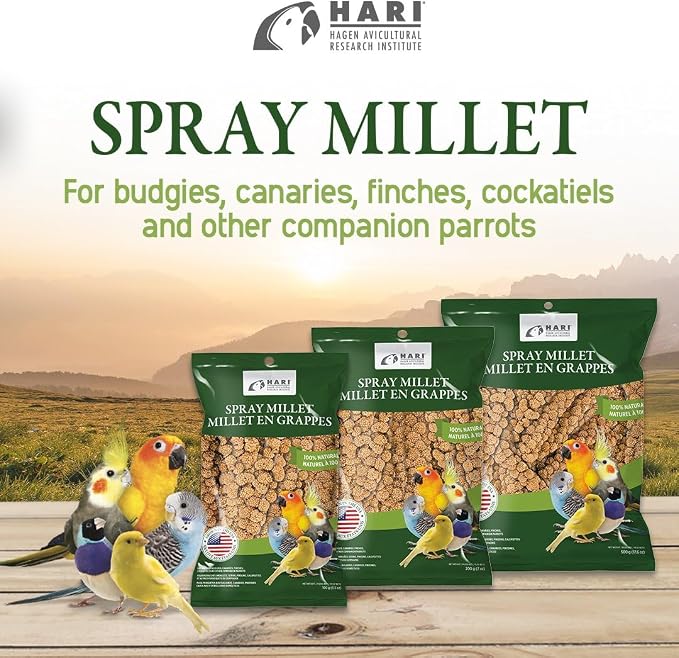 Living World Millet Spray for Birds, 17.6 Oz | Premium Treat for Budgies, Canaries, Finches, Cockatiels and Other Pet Birds