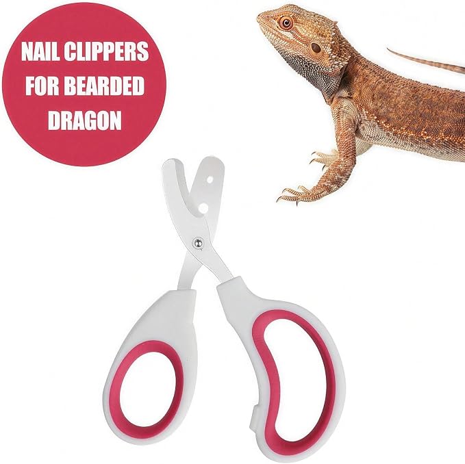 Stainless Steel Bearded Dragon Nail Clippers,Lizard Nail Clippers,Bearded Dragon Supplies,Bearded Dragon Nail Scissors for Small Reptiles,Turtle,Chameleon,Iguana，Hedgehog (Rose red)