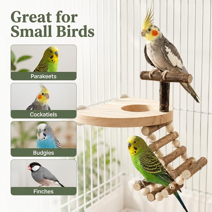 Bird Perch for Cage, Natural Pine Wood Platform with Ladder, Cage Mounted Parrot Perch for Parakeets, Cockatiels, Budgies, Finches & Small Birds