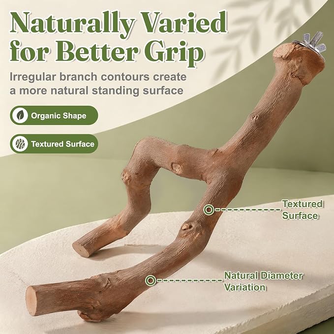3PCS Natural Grapevine Bird Perch Set for Cage, Parakeet Cage Accessories