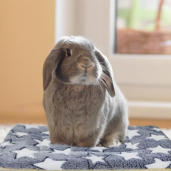 5PCS Rabbit Bed, Soft Bunny Bedding, Fleece Guinea Pig Blanket | Warm Plush Sleeping Mat, Cage Liner for Hamster Ferret Squirrel Hedgehog Rat