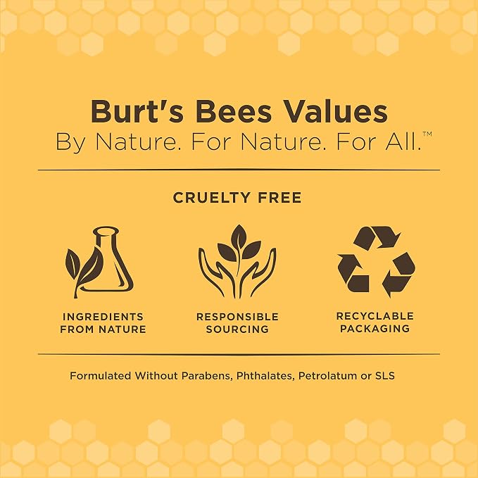 Burts Bees for Pets Kitten Grooming Wipes with Buttermilk, 50 Count | Waterless bath wipes clean face, paws, tail, and coat, gentle alternative to bathing for indoor cats