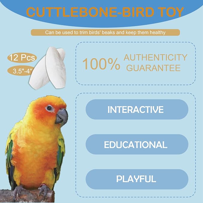 Bird Cuttlebone for Parakeets, Cuddle Bone, Birds Calcium, 3.5"-4", 12 Pcs | Cuttlefish Bone for Sharp Beaks, Natural Calcium for Parrots Cockatiels Budgie Tortoise