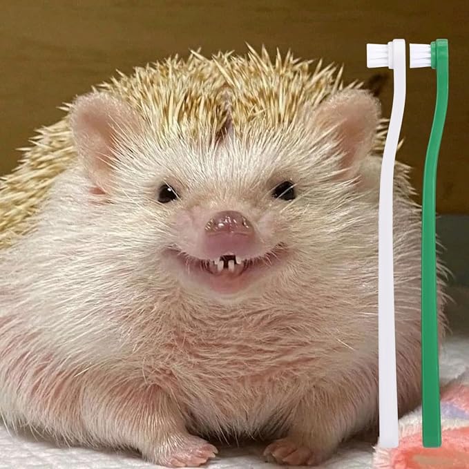 Mini Pet Toothbrush Mini Head Soft Bristles Gentle Pet Toothbrush for Small Pets Dental Care Hedgehog Rat Ferret Grooming Accessories (4PC)